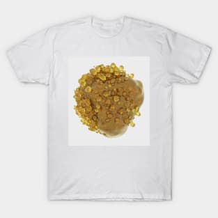 Amber cristal T-Shirt